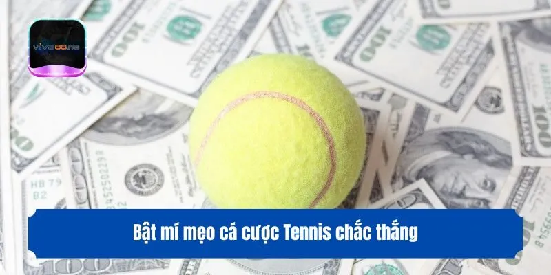 Bật mí mẹo cá cược Tennis chắc thắng