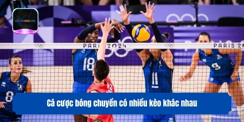 Cá cược bóng chuyền có nhiều kèo khác nhau