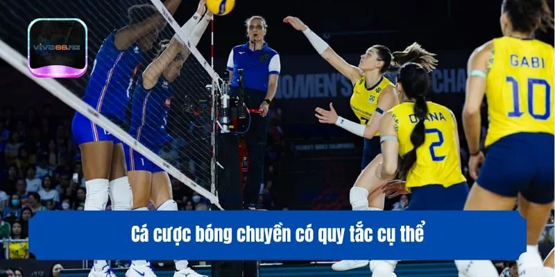 Cá cược bóng chuyền có quy tắc cụ thể