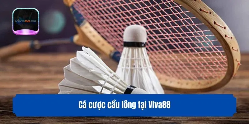 Cá cược cầu lông tại Viva88