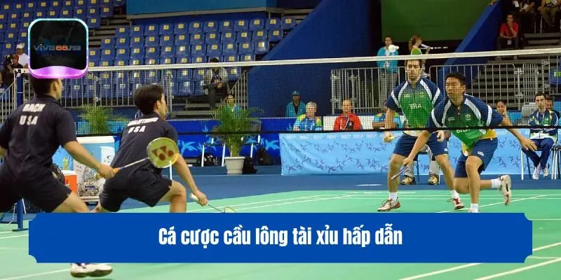 Cá cược cầu lông tài xỉu hấp dẫn