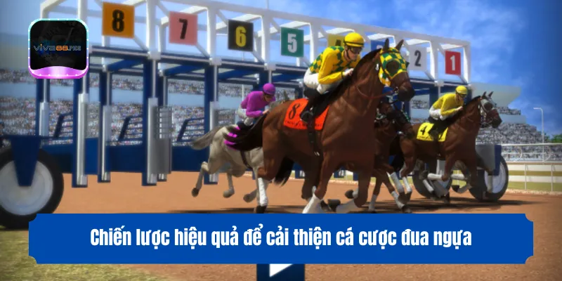 Chiến lược hiệu quả để cải thiện cá cược đua ngựa