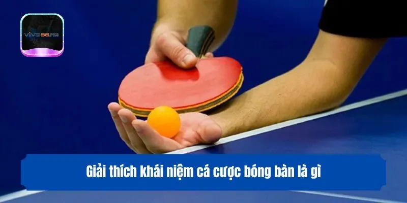Giải thích khái niệm cá cược bóng bàn là gì
