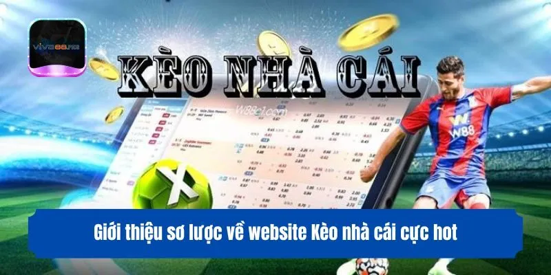 Giới thiệu sơ lược về website Kèo nhà cái cực hot