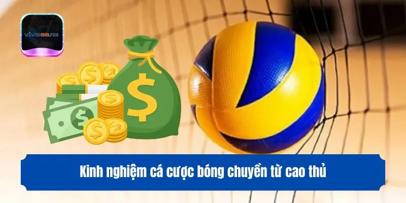 Kinh nghiệm cá cược bóng chuyền từ cao thủ