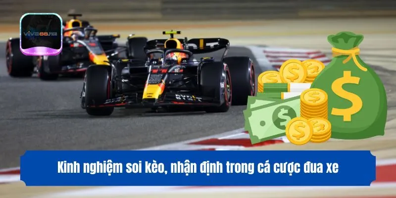 Kinh nghiệm soi kèo, nhận định trong cá cược đua xe