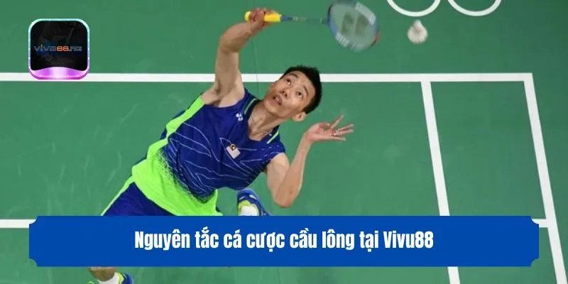 Nguyên tắc cá cược cầu lông tại Vivu88