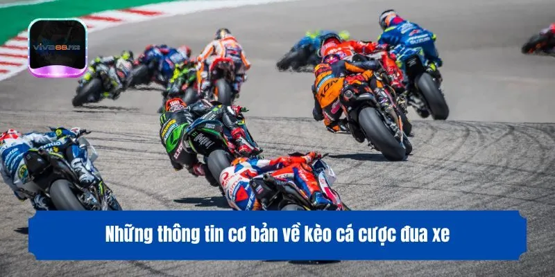 Những thông tin cơ bản về kèo cá cược đua xe