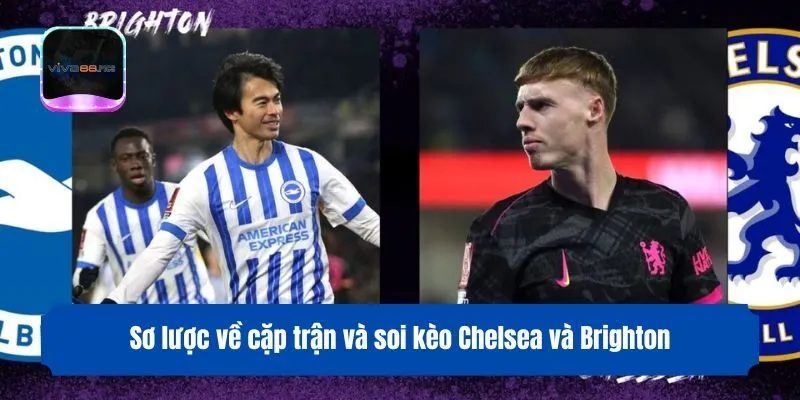 Sơ lược về cặp trận và soi kèo Chelsea và Brighton