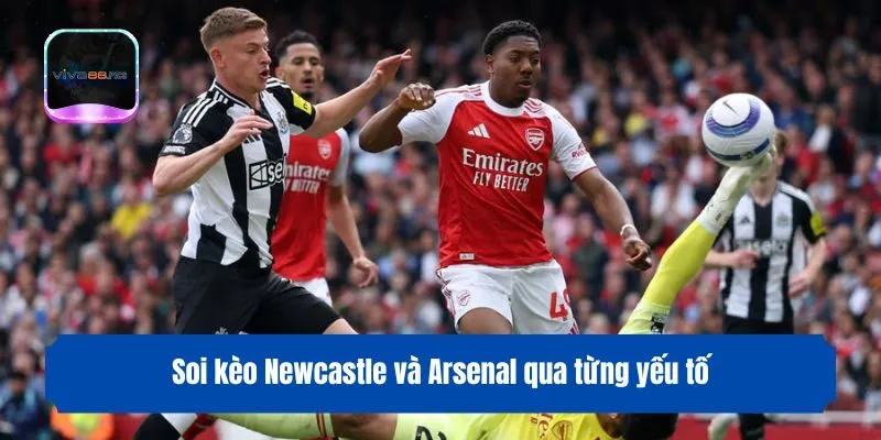 Soi kèo Newcastle và Arsenal qua từng yếu tố