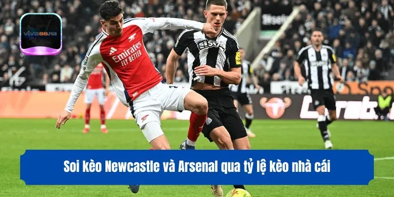 Soi kèo Newcastle và Arsenal qua tỷ lệ kèo nhà cái