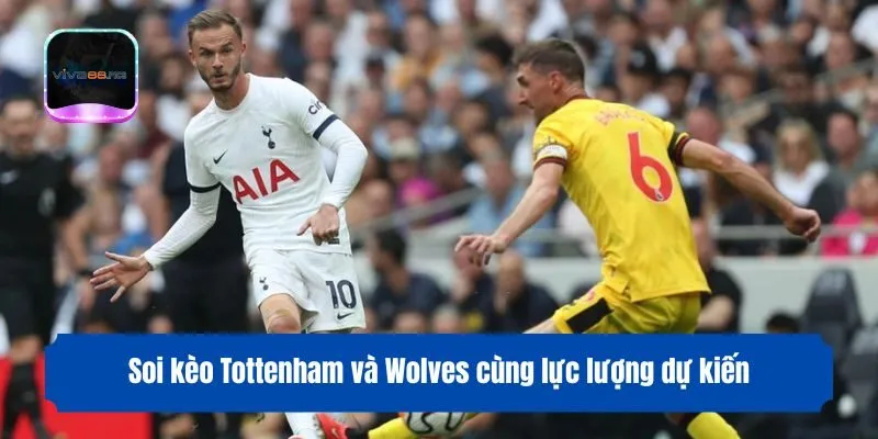 Soi kèo Tottenham và Wolves cùng lực lượng dự kiến
