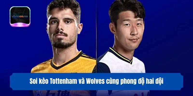 Soi kèo Tottenham và Wolves cùng phong độ hai đội