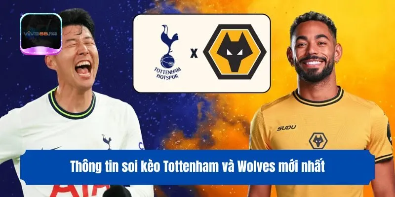 Thông tin soi kèo Tottenham và Wolves mới nhất