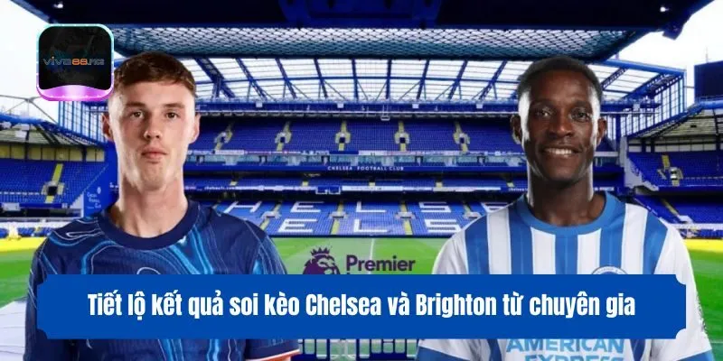 Tiết lộ kết quả soi kèo Chelsea và Brighton từ chuyên gia