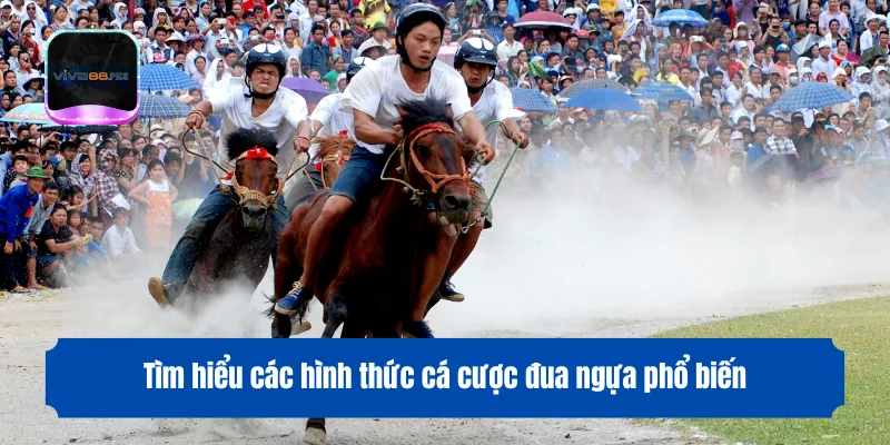 Tìm hiểu các hình thức cá cược đua ngựa phổ biến