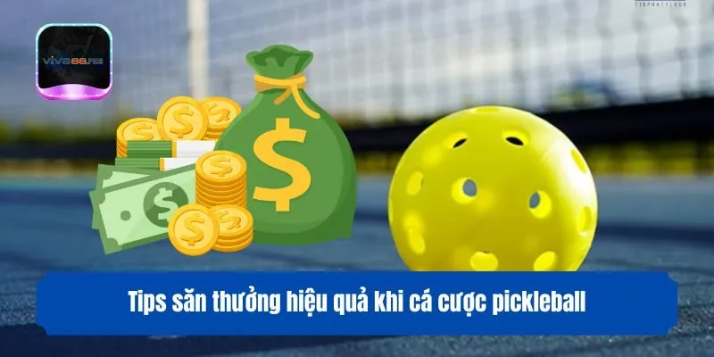 Tips săn thưởng hiệu quả khi cá cược pickleball