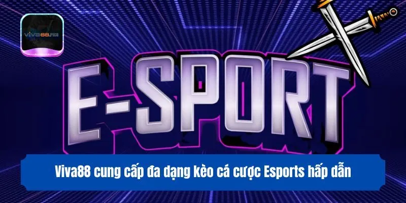 Viva88 cung cấp đa dạng kèo cá cược Esports hấp dẫn